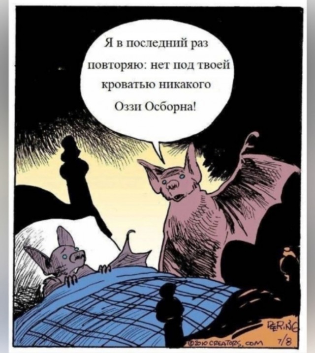 Так себе картинки 22.02.25