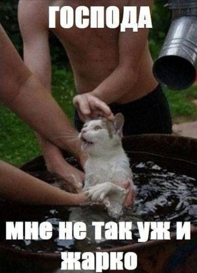 Весёлый полтишок 13.07.25