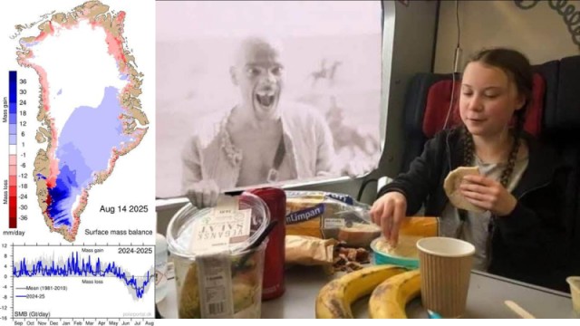 Коллеги, Грета Тунберг будет сильно расстроена....