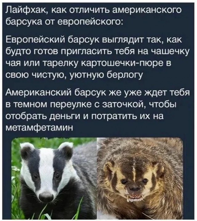Отпусти, я ему втащу.