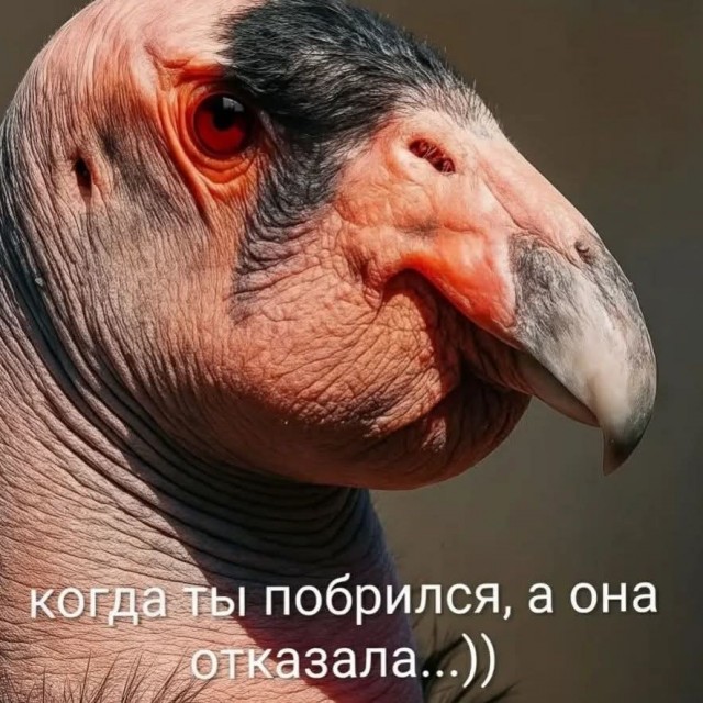 Маленькая пятница 17.09