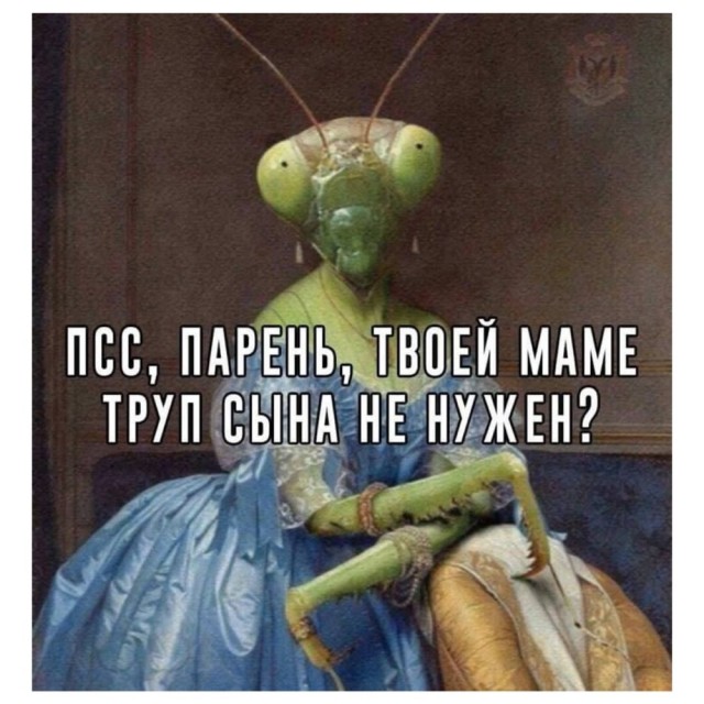 Картинки для деградации 47 (разной степени свежести)