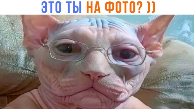 Марина, не нуди