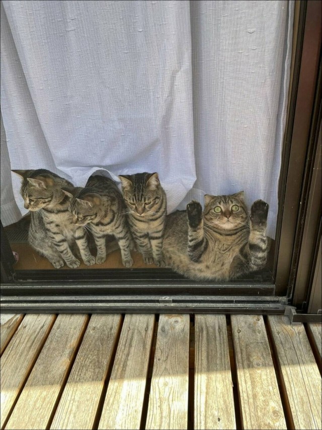 Картиночки на четверг.....