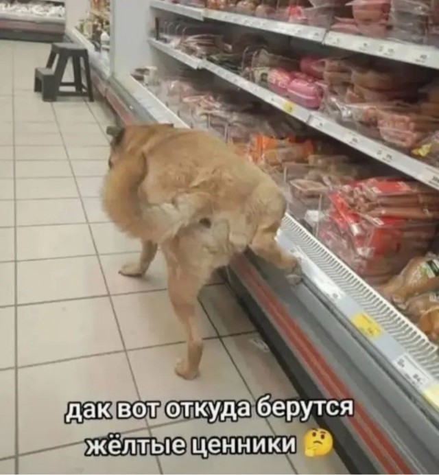 Секрет раскрыт))