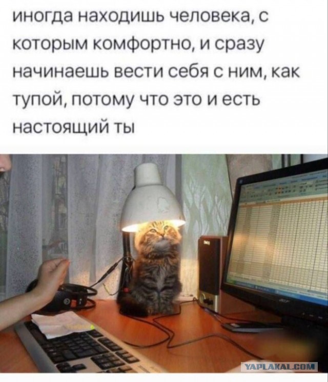 Забавные и не очень скромные картинки - 18