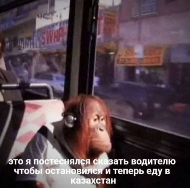 Небаянистая деградация 9