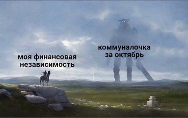 Мой кот - дизайнер интерьеров.