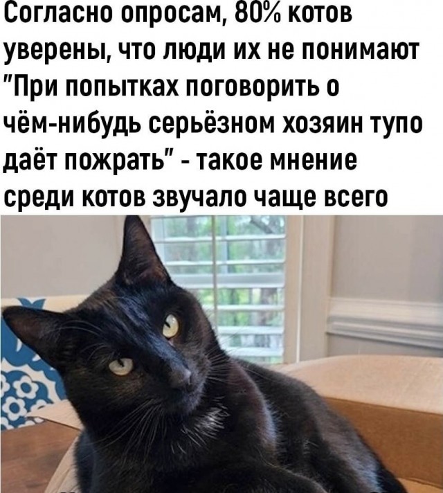 Картиночки, баянчики 11 апреля