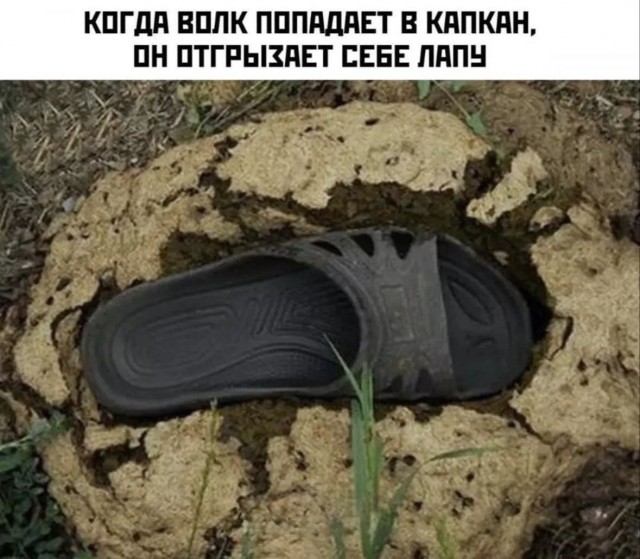 Картинки для деградации 242 (разной степени свежести)