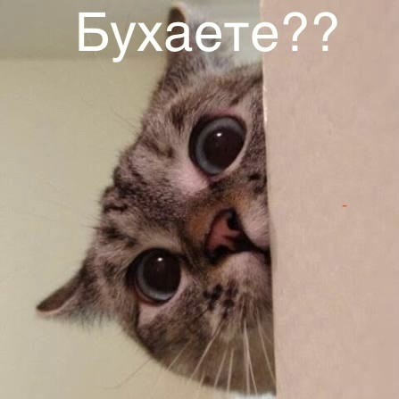 А вы?
