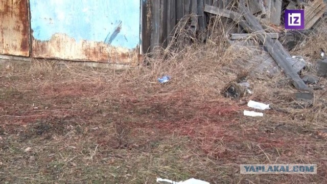 Что делать с собаками или их хозяевами!