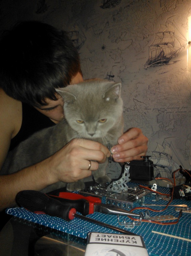 Котовторник 12.11.2013