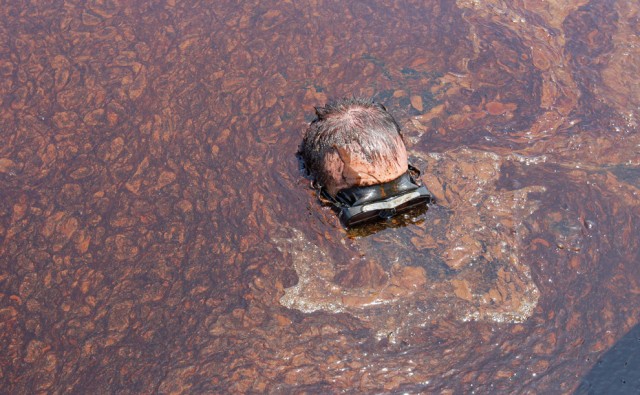 Нефть достигла берегов Луизианы