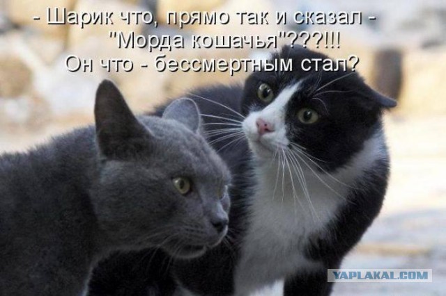 Не про олимпиаду