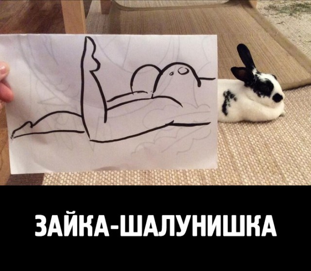 Картинки