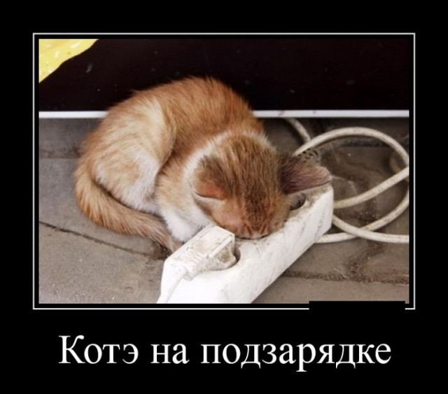 Так...солянка