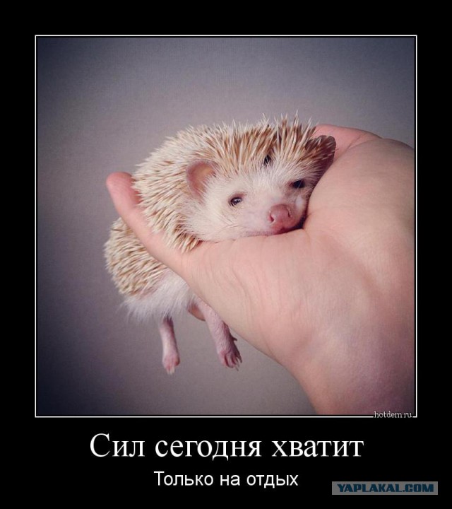 Смешные картинки
