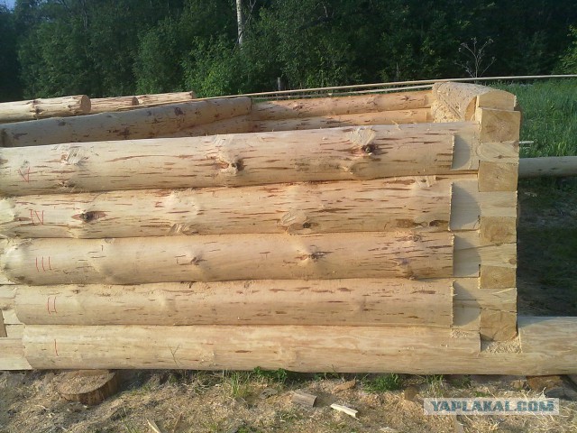 Как мы дом строим