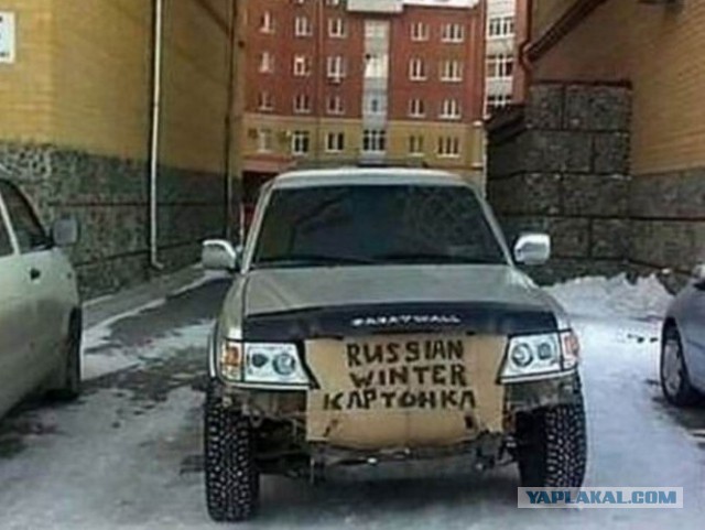 Необычные авто аксессуары.