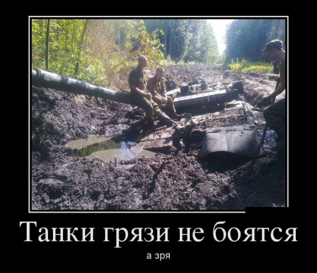 Порция картинок из сети