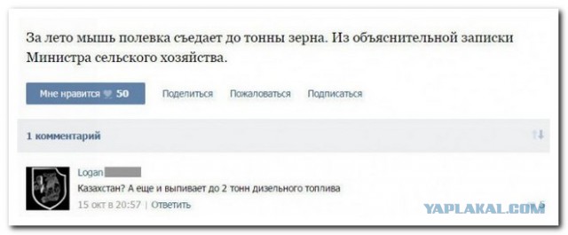 Смешные комментарии из социальных сетей 16.12.2016