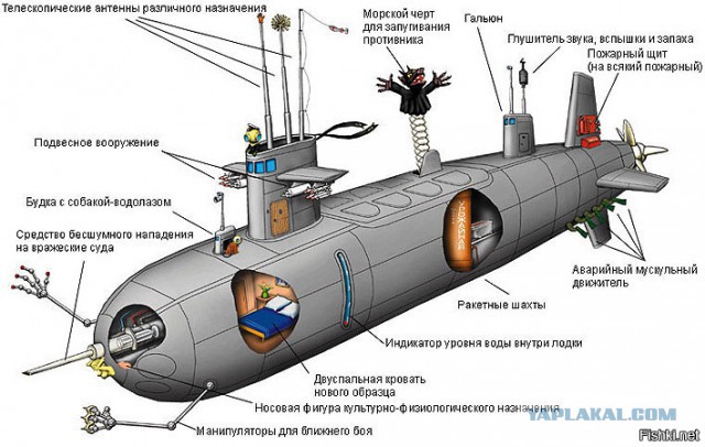 Как устроена служба на подводной лодке