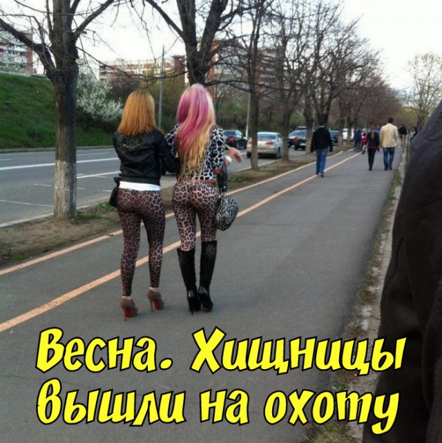 Забавная всячина