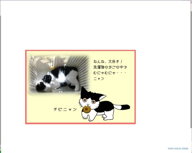 3 Cats' Oisisou Home