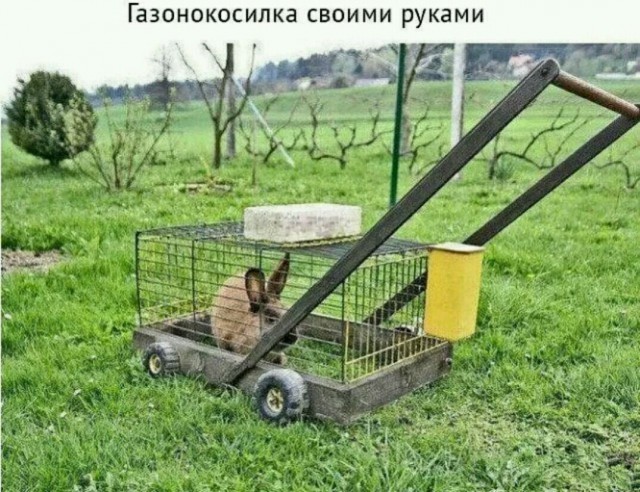 Нестандартный юмор