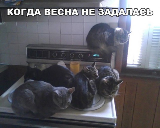 Нестандартный юмор