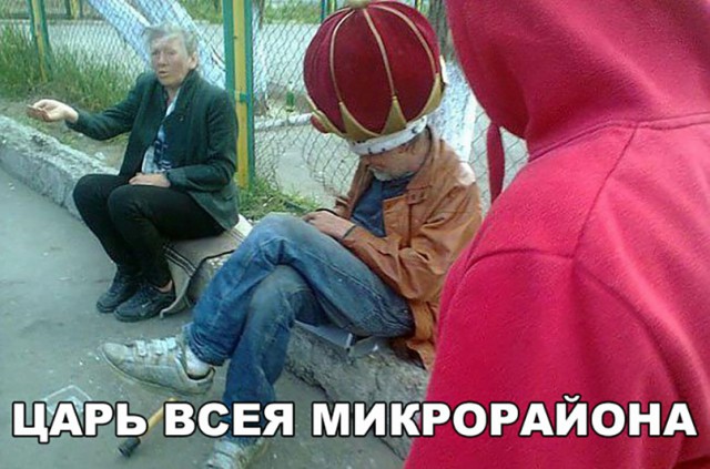 Прикольные картинки