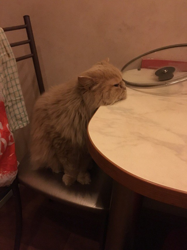 Картинки по-приколу