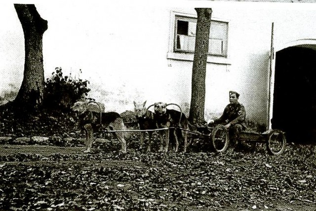 История в фотографиях
