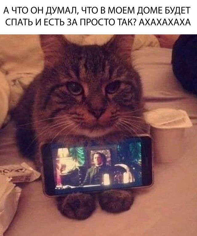 Немного милоты
