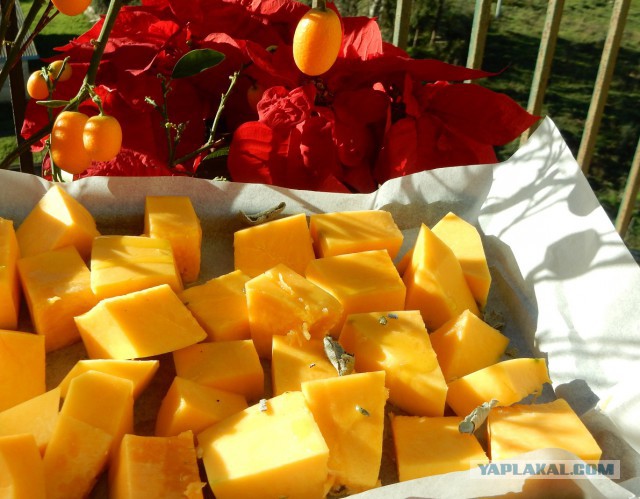 Селедка под шубой - 2019