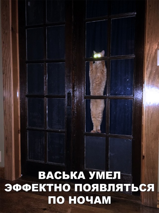 Немного милоты