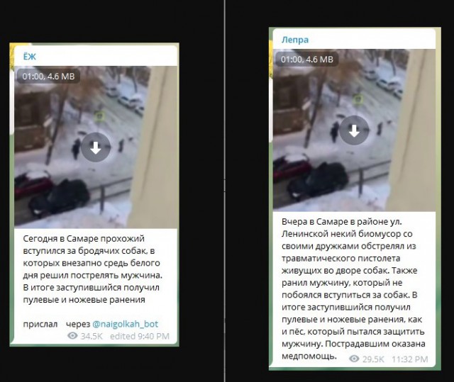 В Самаре стая бродячих собак напала на девушку, это увидели парни на машине и решили не проезжать мимо