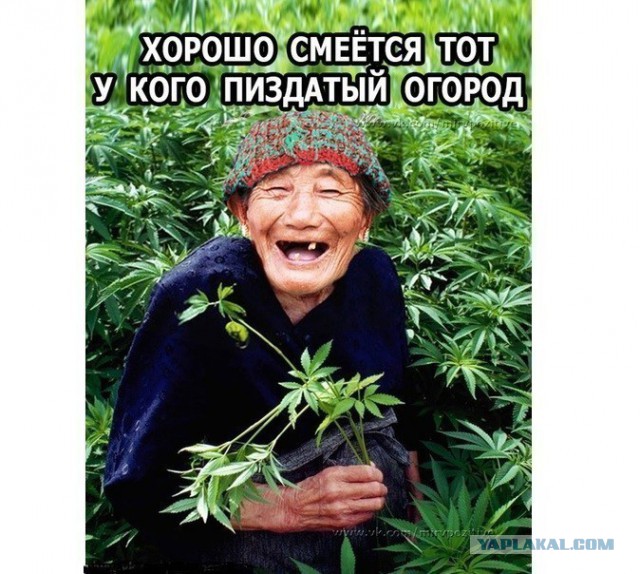 Картинки разные, хорошие и не очень