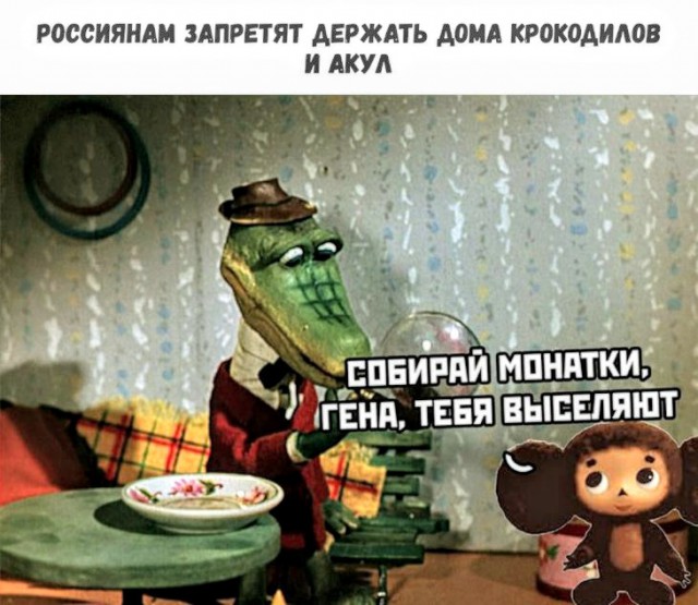Картинки с надписями и анекдоты