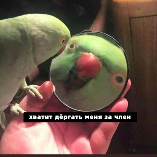 Немного картинок для настроения