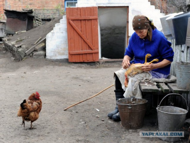 Негламурная жизнь