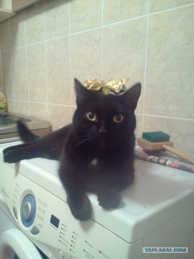 Paзнoвиднocти тьмы