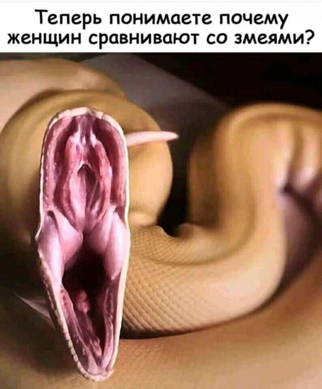 Немного картинок для настроения 05.11.19