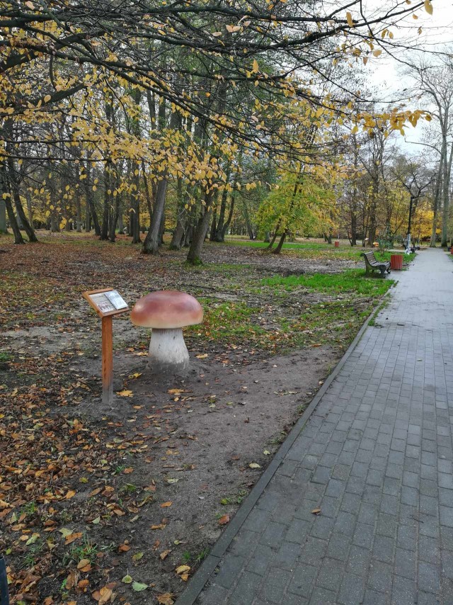 ЯП вокруг света. Германия, Австралия, Китай...