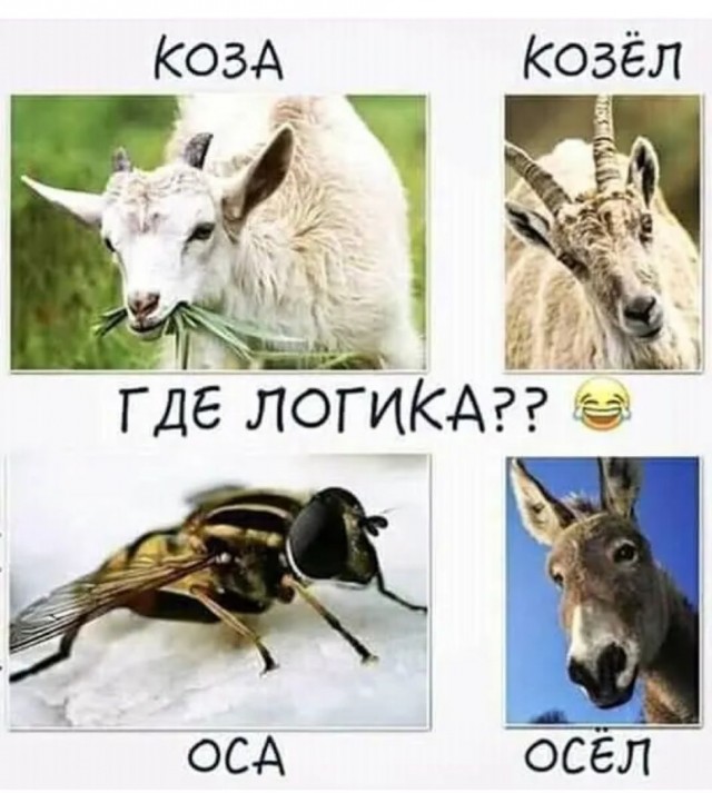 Предпятничная порция картинок