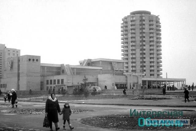 25 фотографий обо всем, которые настолько же познавательные, насколько и интересные