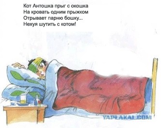 Кот, Антошка и порошок