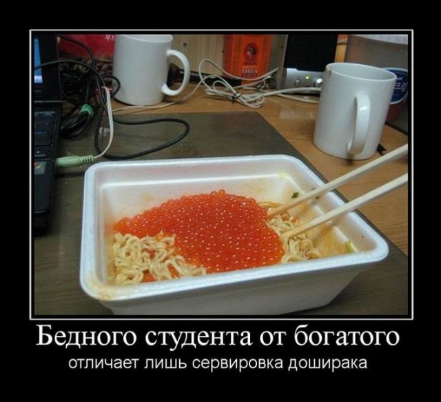 Доширак за 1000р