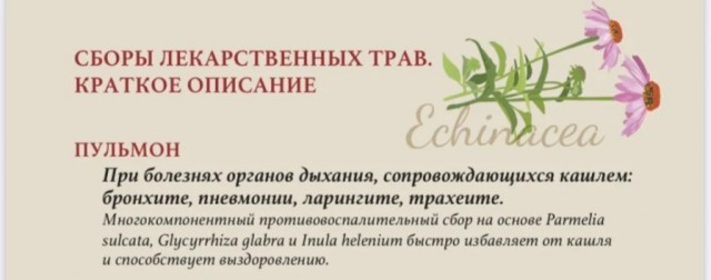 Пандемия. Коронавирус. Россия и мир. Последняя информация. Часть 20